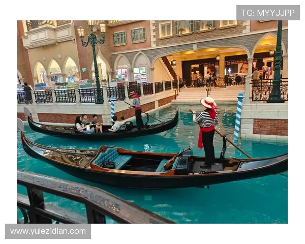 澳门威尼斯人网站登录失败原因分析及应对策略，确保顺利进入游戏世界