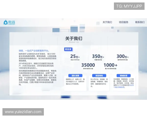 大阳城网址登录线路最新优化方案确保玩家畅享无忧体验