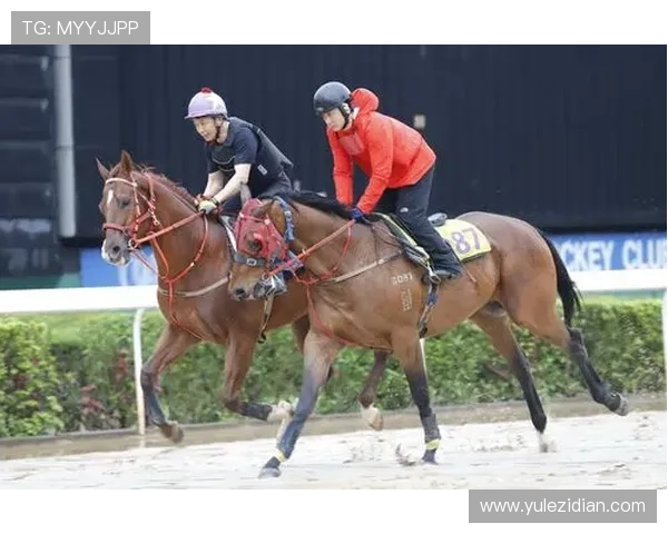 深入了解澳门赛马会的历史背景、赛事特色以及如何参与线上投注