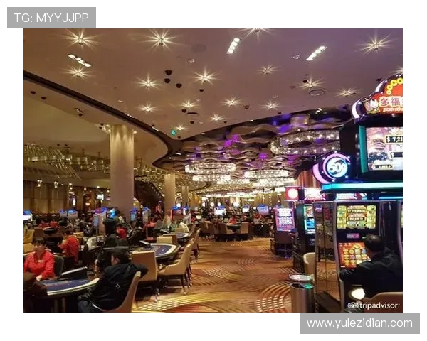 澳門新濠天地娱乐设施全介绍让你玩转澳门最受欢迎的娱乐中心